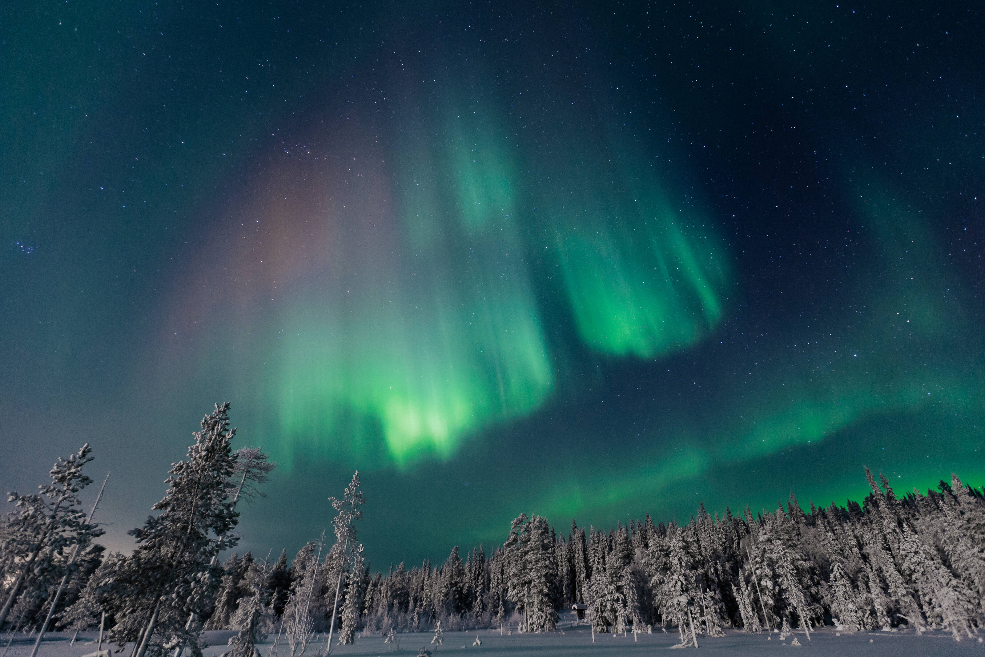 Northern Lights Event Planners