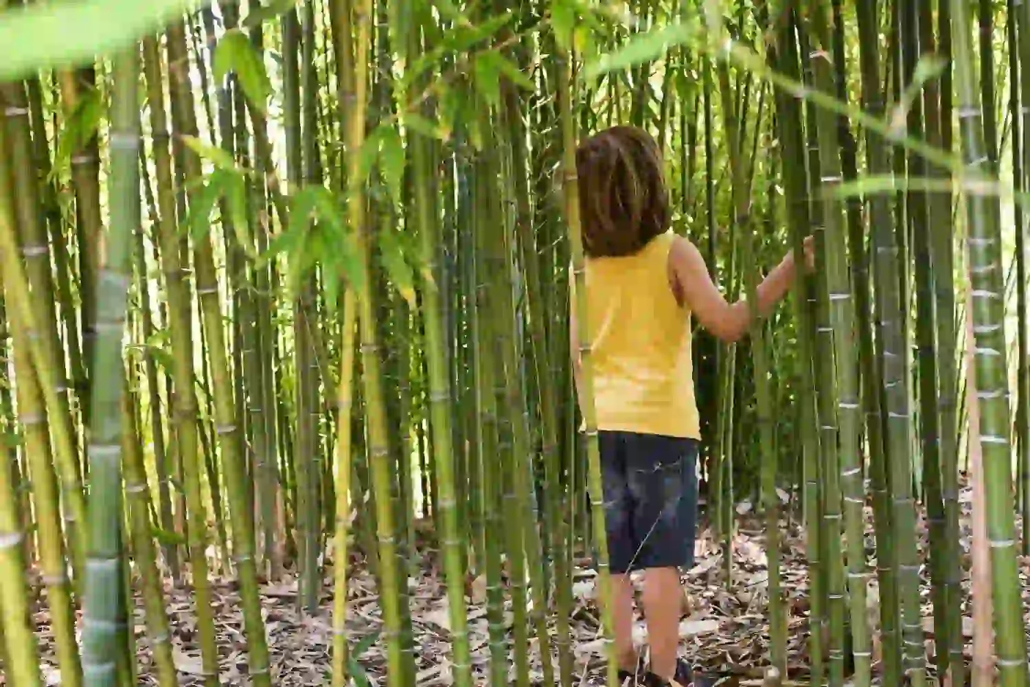 Bamboo Grove Event Planning