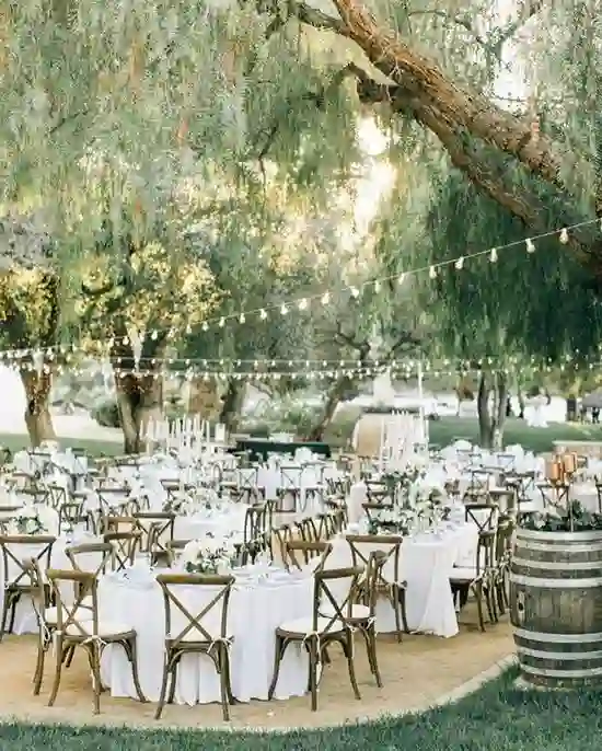 Spanish Moss Event Design
