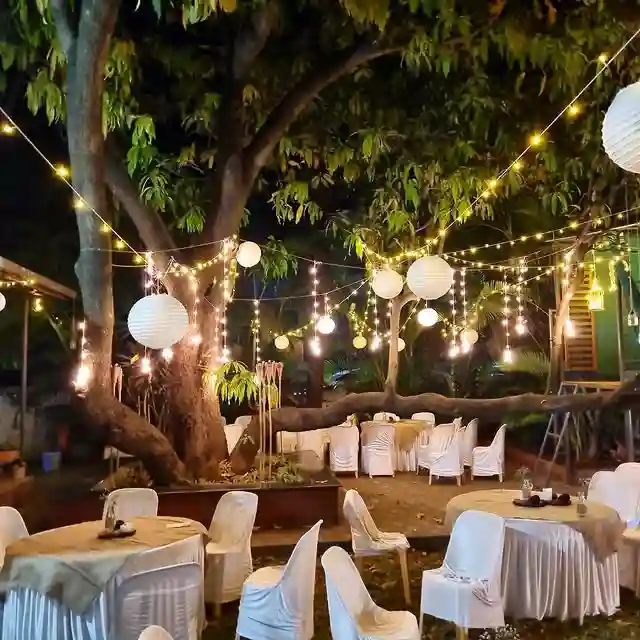 Pink Crescent Moon Events